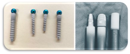 Bone Screws and Implant Coatings